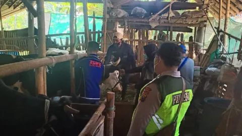 Syarat Hewan Kurban Masuk Malang, Tak Lengkap Putar Balik - GenPI.co JATIM