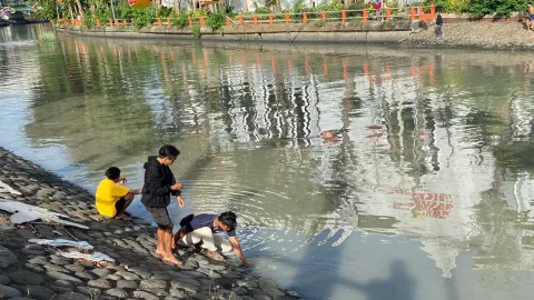 Ikan Mabuk di Sungai Kalimas Surabaya Jadi Ladang Rezeki Warga - GenPI.co JATIM