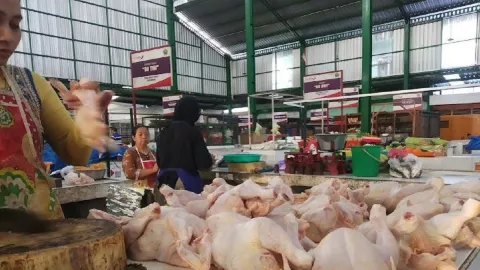 Bu, Harga Daging Ayam di Malang Sudah Turun Loh, jadi Sebegini - GenPI.co JATIM