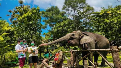 GL Zoo Siap Melakukan Uji Coba Operasional Wisata - GenPI.co JOGJA