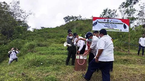 Upaya Pelestarian, 2 Elang Dilepasliarkan di Kulon Progo - GenPI.co JOGJA