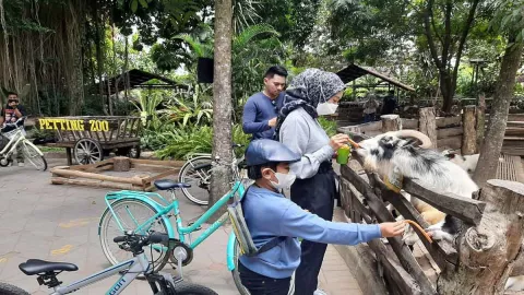 Proteksi Satwa dari PMK, GL Zoo Yogyakarta Batasi Interaksi - GenPI.co JOGJA