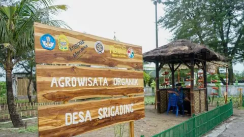 Agrowisata Organik Diharap Kembalikan Eksistensi Pantai Samas - GenPI.co JOGJA