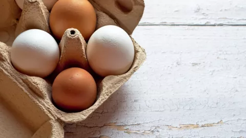 Buat Pecinta Telur, Ini 7 Manfaatnya Bagi Kesehatan Tubuh - GenPI.co JOGJA