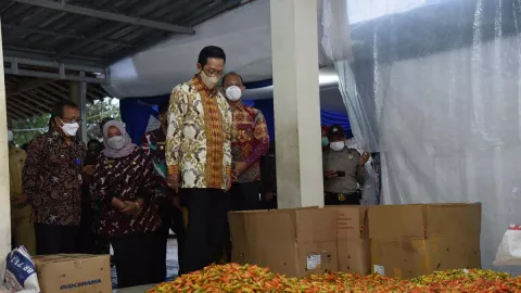 Wow, Sleman Bikin Aplikasi untuk Lelang Cabai Panen Petani! - GenPI.co JOGJA