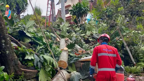 Dampak dari Hujan Lebat di Yogyakarta Telah Terkondisikan - GenPI.co JOGJA