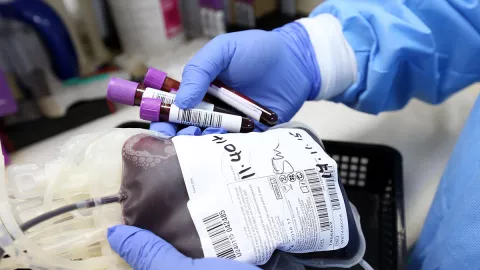 Butuh Transfusi Darah Hari ini, Berikut Stok Darah di PMI DIY - GenPI.co JOGJA