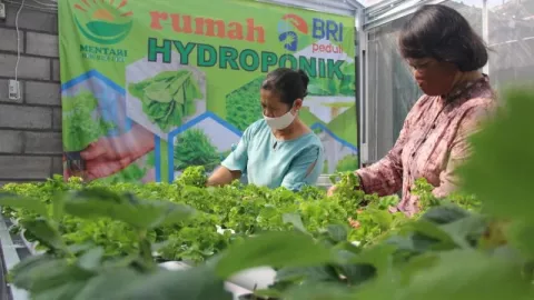 KWT di Sleman Sukses Mengolah Produk Pertanian di Tengah Pandemi - GenPI.co JOGJA