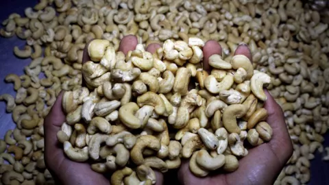 Kacang Mete Kaya Akan Manfaat Kesehatan Tubuh, Intip Yuk - GenPI.co JOGJA