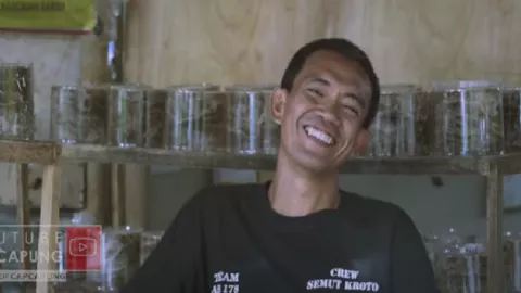 Kena PHK, Widodo Malah Banjir Rezeki dari Ternak Semut di Kampung - GenPI.co JOGJA