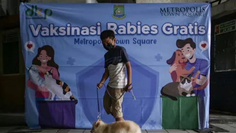 Program Yogyakarta Ini Top, Pemilik Anjing dan Kucing Pasti Suka - GenPI.co JOGJA