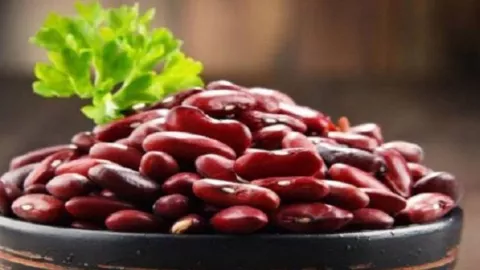 Kacang Merah Khasiatnya Ajaib, Ibu Hamil Pasti Suka - GenPI.co JOGJA