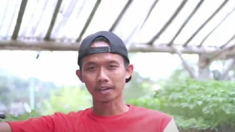 Kisah Mantan Karyawan, Sukses Usaha Pembibitan Sayuran di Bantul - GenPI.co JOGJA