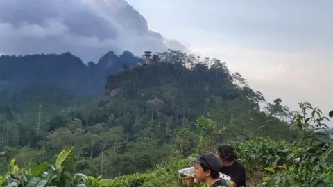 Objek Wisata di Kulon Progo Siap Sambut Libur Lebaran - GenPI.co JOGJA