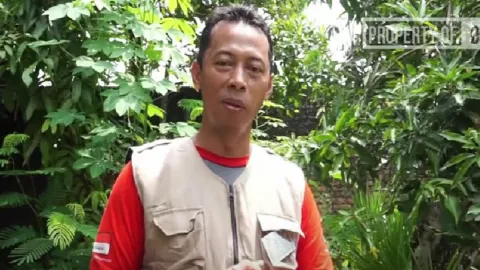 Kisah Sukses Pria di Kulon Progo, Untung Banyak dari Ternak Domba - GenPI.co JOGJA
