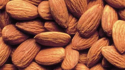 3 Khasiat Kacang Almond untuk Tubuh, Bikin Jantung Tetap Sehat - GenPI.co JOGJA