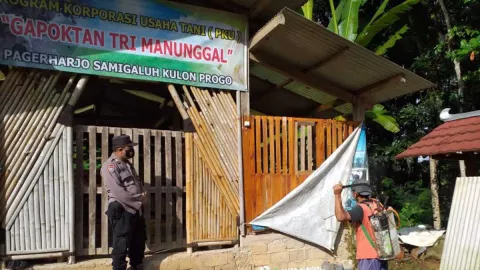 Temuan Penyakit PMK di Kulon Progo, 1 Desa Dilokalisir - GenPI.co JOGJA