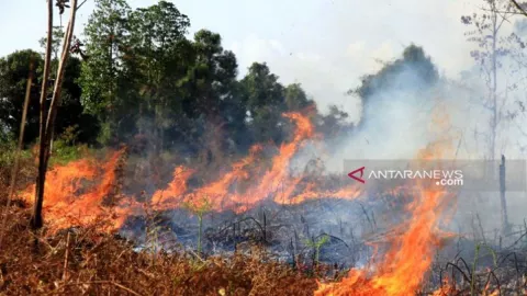 Waspada Kebakaran Lahan, Bantul Bikin Strategi Penanganan - GenPI.co JOGJA