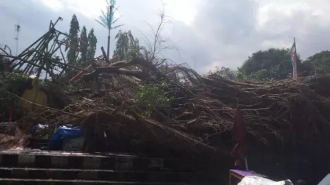 Angin Kencang di Sleman, Pohon Tumbang Timpa Wahana Bermain - GenPI.co JOGJA