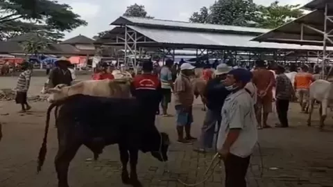 Pasar Hewan Gunungkidul Dibuka di Tengah Ancaman Wabah PMK - GenPI.co JOGJA