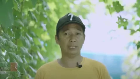 Telaten, Pria di Bantul Sukses Bisnis Menggiurkan Kebun Anggur - GenPI.co JOGJA