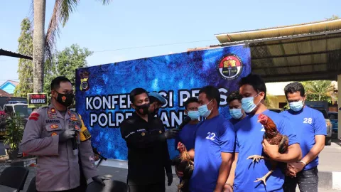 Polisi Gerebek Judi Sabung Ayam di Bantul, 35 Orang Ditangkap - GenPI.co JOGJA