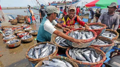 Yogyakarta Patok Target 7 Ribu Ton Produksi Ikan pada 2023 - GenPI.co JOGJA