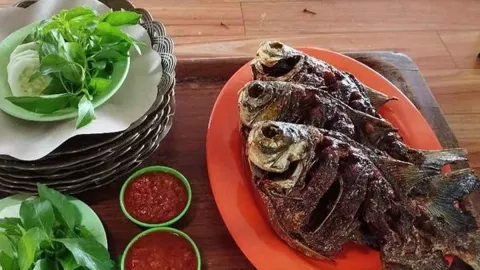Resto Pemancingan Pinggir Desa Yogyakarta, Ada Menu Mangut! - GenPI.co JOGJA