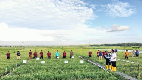 Petani di Kulon Progo Terapkan Sistem Hemat Air untuk Atasi Dampak El Nino - GenPI.co JOGJA