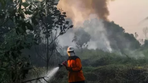 Warga Diimbau Waspada Potensi Kebakaran pada Puncak El Nino di Yogyakarta - GenPI.co JOGJA
