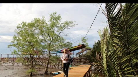 Belajar dan Pelesiran di Destinasi Wisata Mangrove Sungai Kupah - GenPI.co KALBAR