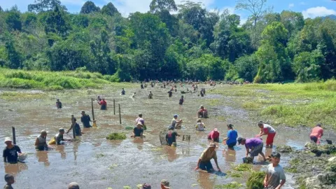 Tradisi Unik Sambut Paskah, Satu Kampung Panen Ikan - GenPI.co KALBAR