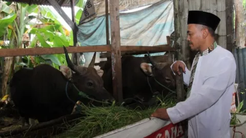 Warga Khawatir PMK, Penjualan Daging di Pontianak Nyungsep - GenPI.co KALBAR