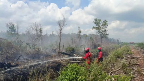 3,5 Hektare Lahan di Singkawang Terbakar, Masih Banyak Hotspot - GenPI.co KALBAR