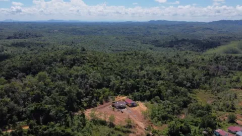 Gandeng Pramuka, PLN Tanam Pohon Produktif 2 Hektare - GenPI.co KALBAR