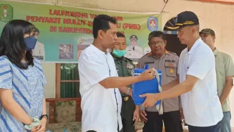 Kalbar Kebagian 3.900 Dosis Vaksinasi PMK, Didominasi Kubu Raya - GenPI.co KALBAR