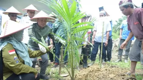131 Hektare Lahan di Sambas Ditanami Sawit Program PSR - GenPI.co KALBAR