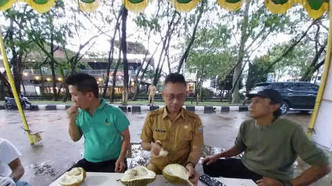 Banyak Diminati, Durian Jemongko Asal Sanggau Ludes Terjual - GenPI.co KALBAR