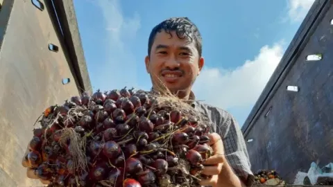 Petani Sawit Ketapang Dibantu Apkasindo Dapatkan Dana Hibah BPDPKS - GenPI.co KALBAR