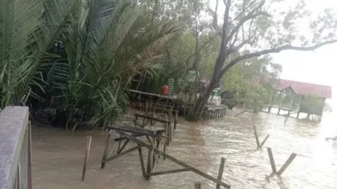 Diterjang Ombak, Fasilitas di Ekowisata Mangrove Teluk Berdiri Rusak Parah - GenPI.co KALBAR