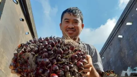 Sawit Berkontribusi hingga 68 Persen pada Pendapatan Keluarga di Kalbar - GenPI.co KALBAR