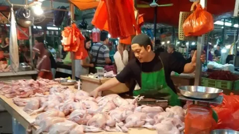 Pasca Lebaran, Harga Daging Ayam di Kota Pontianak Turun - GenPI.co KALBAR