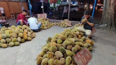 September hingga Oktober 2023, Kalbar Masuki Puncak Musim Buah Durian - GenPI.co KALBAR