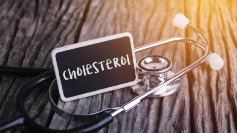 Dokter Sarankan Lakukan 4 Hal Ini Ketika Kolesterol Anda Tinggi - GenPI.co KALTIM