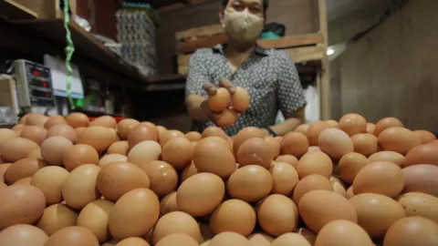 Susul Minyak Goreng, Telur hingga Daging Mulai Merangkak Naik - GenPI.co KALTIM