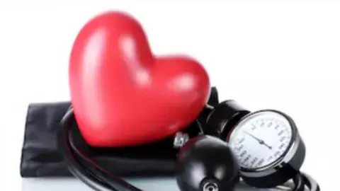 Berapa Tekanan Darah Normal Orang Dewasa? Nih Penjelasan Dokter - GenPI.co KALTIM