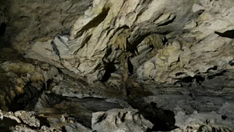 Wow, 35 Gua Ditemukan di Gunung Batu Benau, Ada yang Miliki Sungai Bawah Tanah - GenPI.co KALTIM