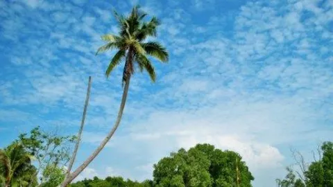 Rekomendasi Destinasi Wisata Pantai di Durai Kabupaten Karimun - GenPI.co KEPRI