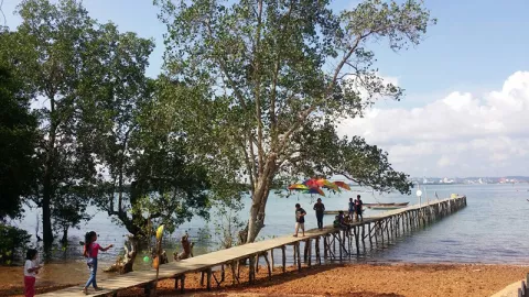 Pasar Mangrove: Kolaborasi Kreativitas dan Keindahan Alam - GenPI.co