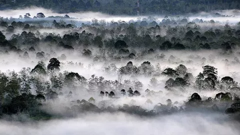 Lampung Juga Punya Negeri di Atas Awan, Loh! - GenPI.co